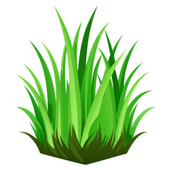 green grass isolated on white