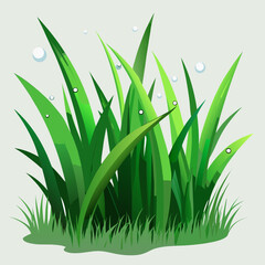 Fototapeta premium fresh green grass