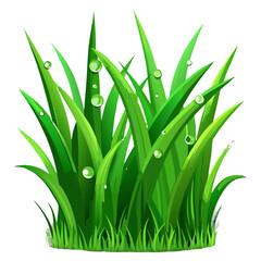 green grass on white background
