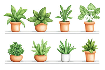 Fototapeta premium Collection of diverse houseplants arranged neatly on a shelf, showcasing their vibrant greenery and unique shapes in a home environment
