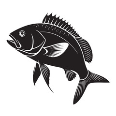fish on a white background
