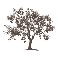 Tree with ripe apples silhouette vector