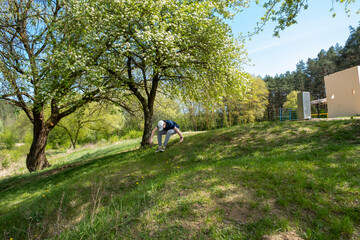 Fototapete bei efototapeten.de bestellen   