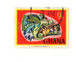 A vintage postage stamp from Ghana isolated on a white background.