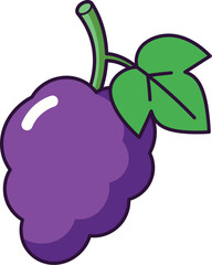 Fresh purple grapes with a vibrant green leaf