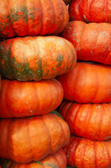 Stack of large, round orange pumpkins with natural green mottling. Perfect for autumn, Halloween, or harvest-themed projects. The rich textures and earthy tones evoke a rustic and seasonal atmosphere
