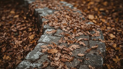 A textured stone path adorned with dry brown leaves, embodying the splendor of autumn and the cycle of nature.
