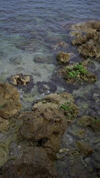 Coastal rocks covered in green moss at a serene beach with clear water gently washing over, creating a natural outdoor seascape setting, perfect for a tranquil summer getaway.