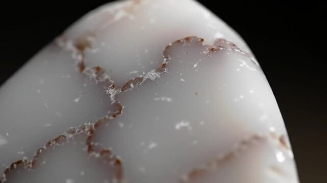 Close-up view of a smooth, curved, white with subtle pinkish-brown markings and a dark background, creating an abstract design.