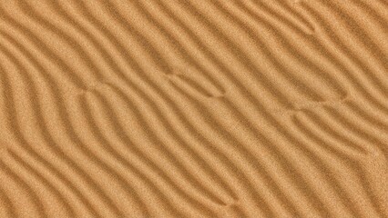 Fototapeta premium Sand dunes with diagonal ripples