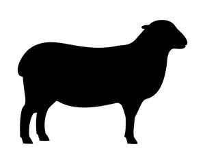 Full Silhouette of a Sheep Standing, Highlighting its Simple Form and Elegance