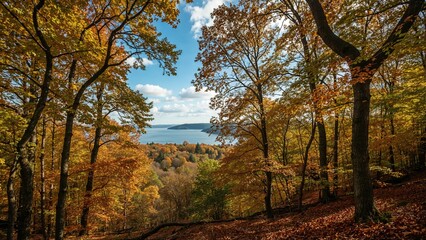 Fototapeta premium Vibrant woodland scene with colorful autumn hues by the water
