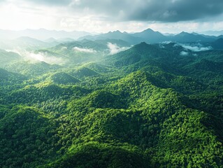 Fototapeta premium Deep tropical jungles of southeast asia in august landscape
