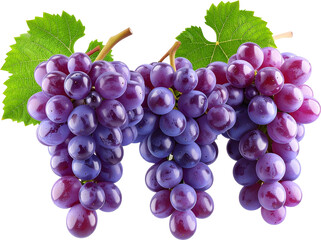Fototapeta premium 3D Grapes Render with Transparent Background