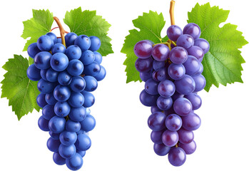 Fototapeta premium 3D Grapes Render with Transparent Background
