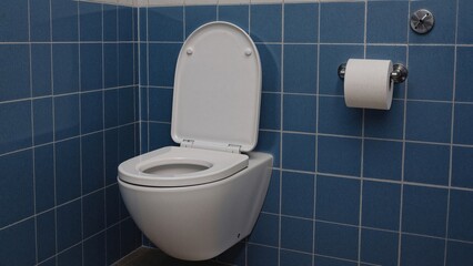 Hidden water tank installed in bathroom restroom. White wall-mounted toilet with closed lid on blue tile wall with metal flush actuator. Toilet roll holder, cleanliness and hygiene themes