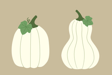 Set of autumn white pumpkins with leaves element.
Fall pumpkin flat stock vector illustration.
Farm fresh pumpkin vegetable.
Design for harvest festival, Thanksgiving. 