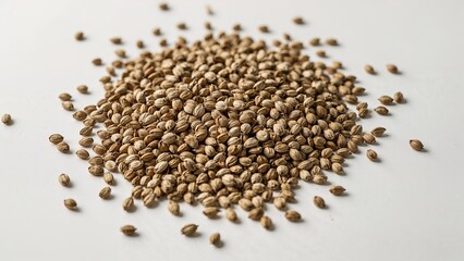 Close-up of dried hemp seeds on a clean white surface