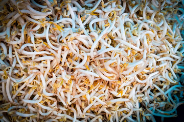A macro texture background of a large pile of fresh, raw mung bean sprouts, a healthy vegetable ingredient