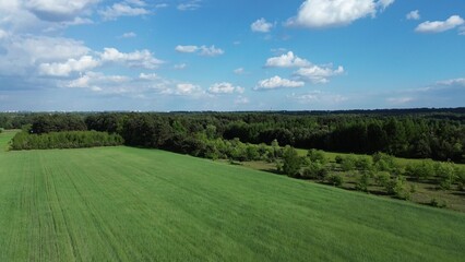 Aerial view of afforestation tree nursery