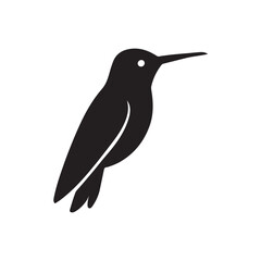 hummingbird vector illustration