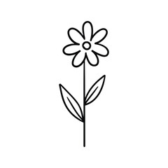 Hand drawn daisy flower outline element icon