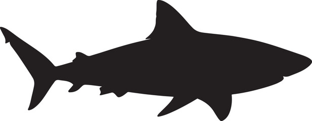 Shark Silhouette