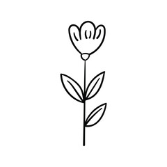 Obraz premium Hand drawn flower outline element icon