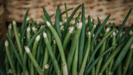 Obraz premium Tender young scallions on display at the marketplace