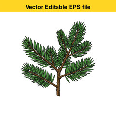Indoor plant vector art of pine tree branch with green needles isolated on white background