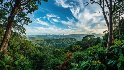 Obraz premium Tropical Wilderness Surrounded by Misty Clouds
