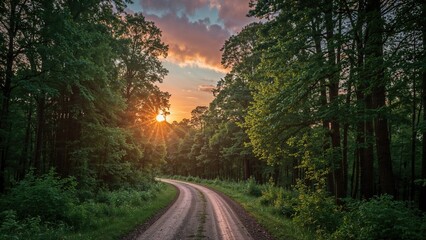 Stunning sunrise casting warm hues on a rustic road beside a peaceful lake