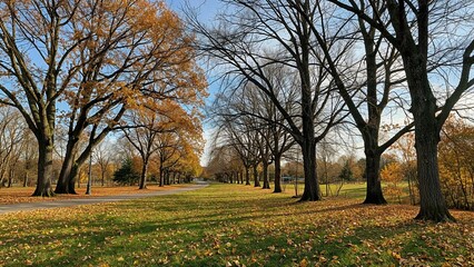 Fototapeta premium Stunning fall scenery covered with a blanket of golden leaves in a public garden