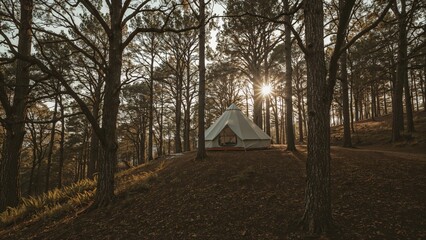 Pitching a tent on a forested slope