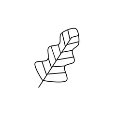 Botanical Line Art Plant Icon