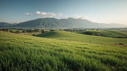 Fototapeta premium Rich farmland close to elevated terrain