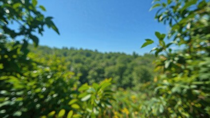 Fototapeta premium Blurred woodland scene with green backdrop