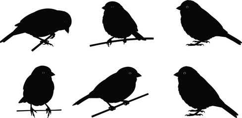 Bird silhouette vector illustration, perched bird designs, black bird graphic, wildlife clipart, nature drawing, stock image, cad drawing flat vector illustration
