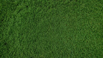Fototapeta premium Artificial green turf surface resembling natural grass for backgrounds
