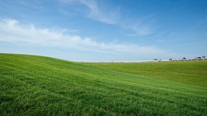 Fototapeta premium Expansive Green Pasture with Far-Off Horse Racing Fence Beneath a Wide Blue Sky