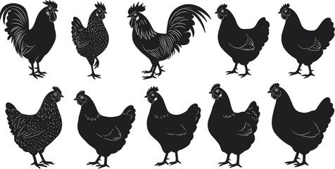 A diverse collection of rooster and hen silhouettes, different poultry breeds, farm animals, chicken illustration, black and white icon.