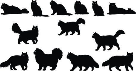 Set of diverse black cat silhouettes, different breeds and postures, walking and sitting pets, various shapes and sizes, vector illustration.