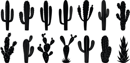 Desert Cactus vector silhouette set, different shapes of cactus, cacti plants silhouette, black botanical icon, succulent plant logo, wild west flora, simple flat drawing.