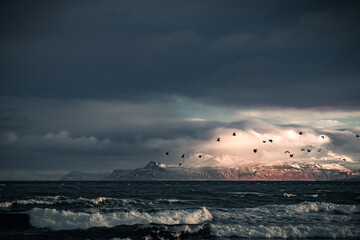 Dramatic view of the stormy sea along the Snæfellsnes Peninsula in Iceland, captured at sunset. Powerful waves crash against the rugged coastline under golden light, creating a striking contrast betwe