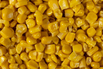 Sweet Canned Corn Close-Up Macro Texture Detail Top View