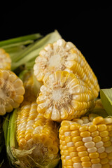 Close-up view of fresh raw corn cobs ready for cooking.