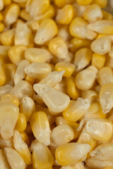Macro Texture Of Raw Corn Kernels Top View.