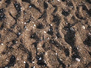 Sandy beach with scattered pebbles along the Black Sea