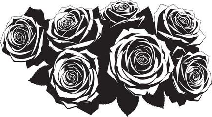 Black and White Rose Flowers