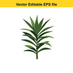 Fototapeta premium Indoor plant vector art of green plant with pointed leaves isolated on white background, vector illustration